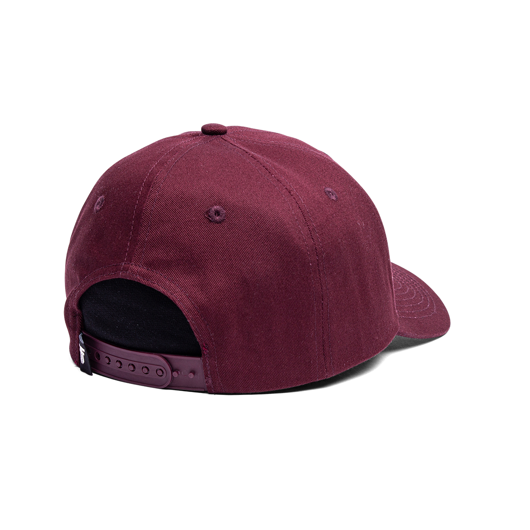 FALLEN HAT INSIGNIA CURVE